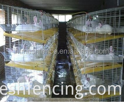 5 niveaux 144 Poulet Easy Clean Industrial Backyard Poulet Cage Coop House